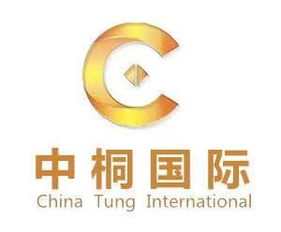 中桐北京國際企業(yè)管理咨詢公司 商務咨詢的智慧伙伴